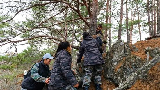 一群姑娘，上山做虎虎豹豹“铲屎官”！她们说：想永不碰面……