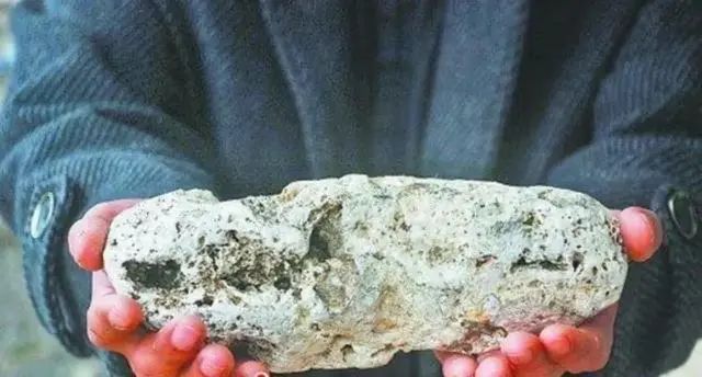 海边旅游捡到稀罕物,网传值800万?业内人士:很像,需鉴定 海边旅游捡到稀罕物,网传值800万?业内人士:很像,需鉴定