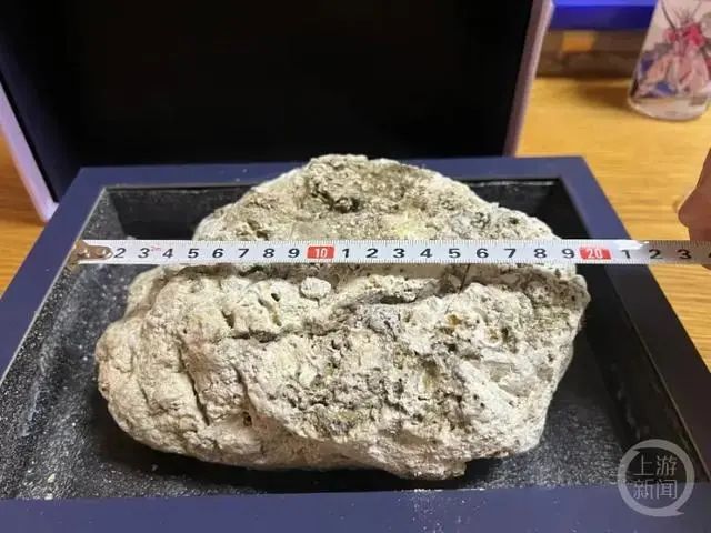 海边旅游捡到稀罕物,网传值800万?业内人士:很像,需鉴定 海边旅游捡到稀罕物,网传值800万?业内人士:很像,需鉴定