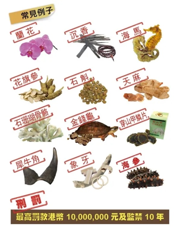 跨境买菜注意！这些食品禁止带入香港→