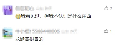 意外捡到“一套房”？价值800万元？游客赶海捡到疑似龙涎香