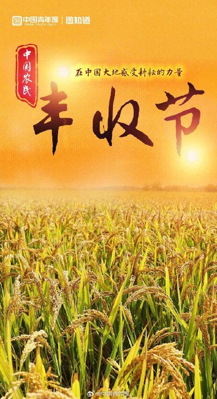 中国农民丰收节：晒晒中国大地好“丰”景