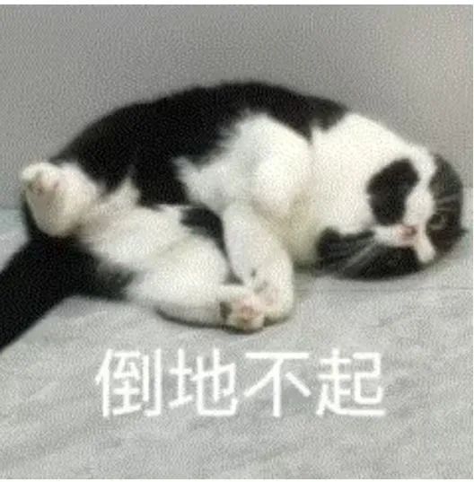 真醉了！一男子醉酒睡路边，醒来直呼：“太丢人！”