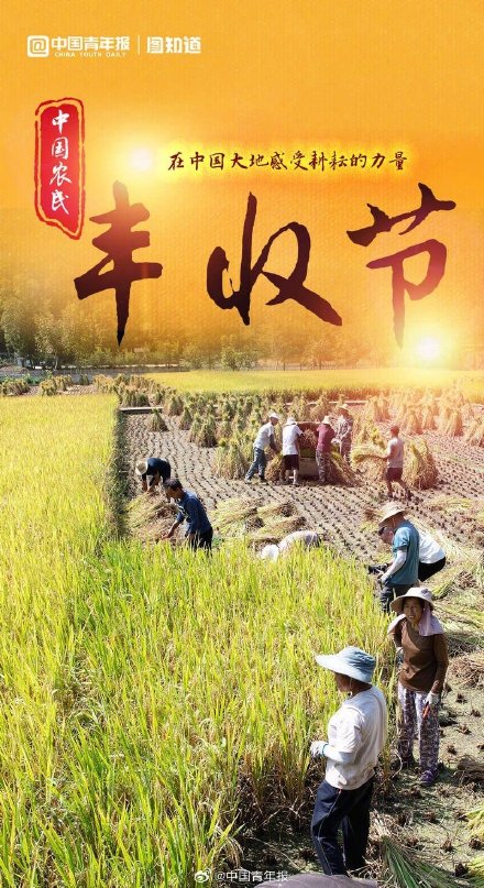 中国农民丰收节：晒晒中国大地好“丰”景