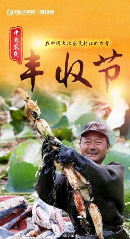中国农民丰收节：晒晒中国大地好“丰”景