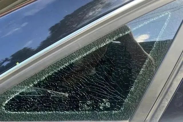 台风夜,这对父子毅然下水…… 台风夜,这对父子毅然下水……