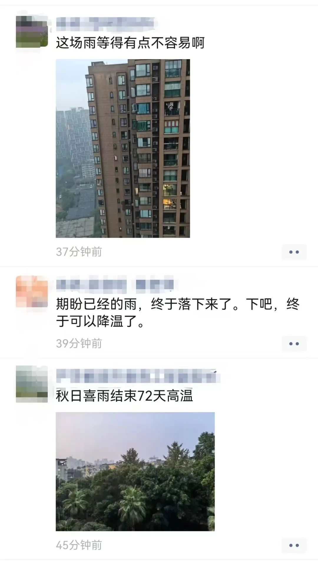 下雨了!“退烧”了!重庆网友:好想出去冲个凉! 下雨了!“退烧”了!重庆网友:好想出去冲个凉!