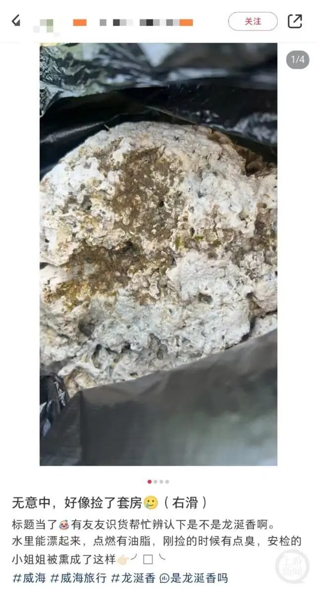 海边旅游捡到稀罕物,网传值800万?业内人士:很像,需鉴定 海边旅游捡到稀罕物,网传值800万?业内人士:很像,需鉴定