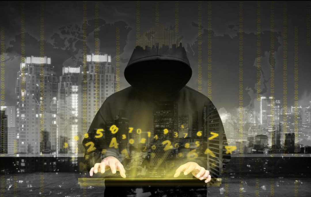 炫技未果 黑客落网 一案双查! 炫技未果 黑客落网 一案双查!