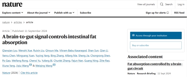 新研究发现吃葛根或能刮油!中医专家提醒:有些人不适合 新研究发现吃葛根或能刮油!中医专家提醒:有些人不适合