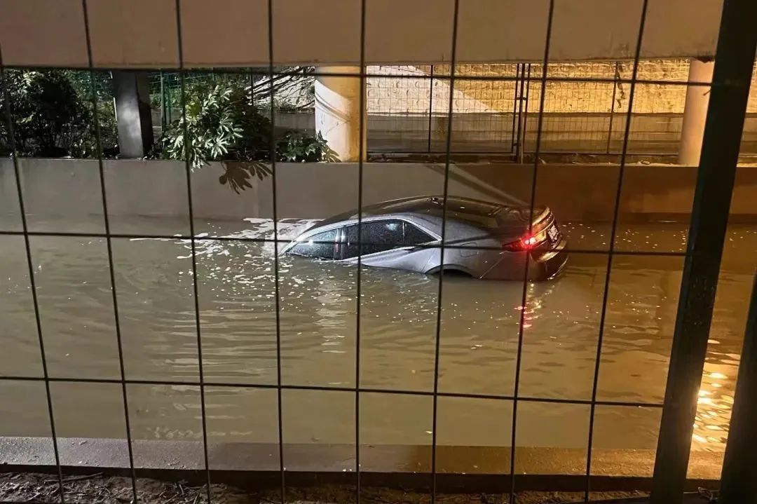 台风夜,这对父子毅然下水…… 台风夜,这对父子毅然下水……