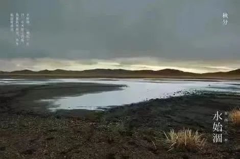 今日秋分 | &nbsp;风清露冷秋期半，叶老枝疏夜渐长