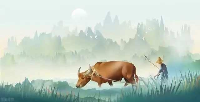 今日秋分 | &nbsp;风清露冷秋期半，叶老枝疏夜渐长