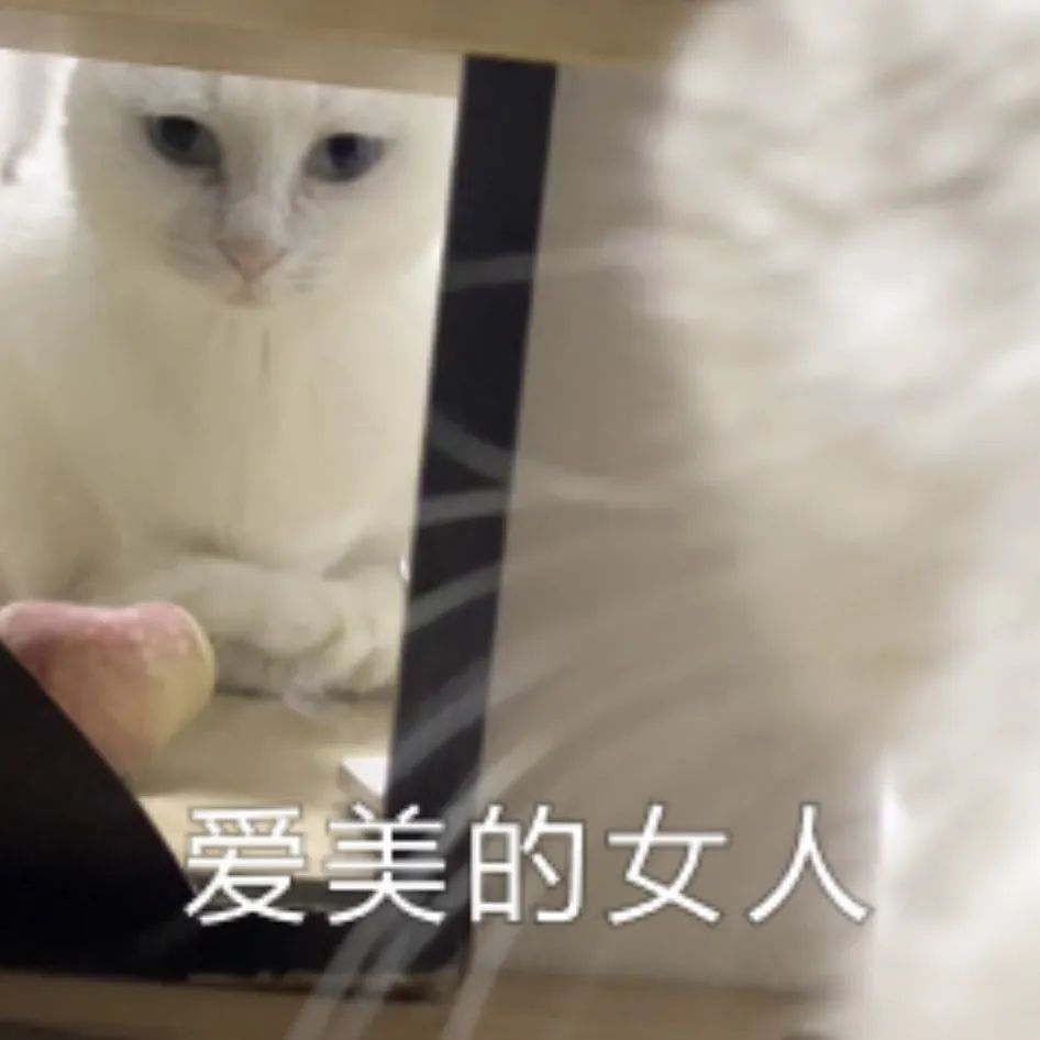 莞莞类卿?终究是逃不过 莞莞类卿?终究是逃不过