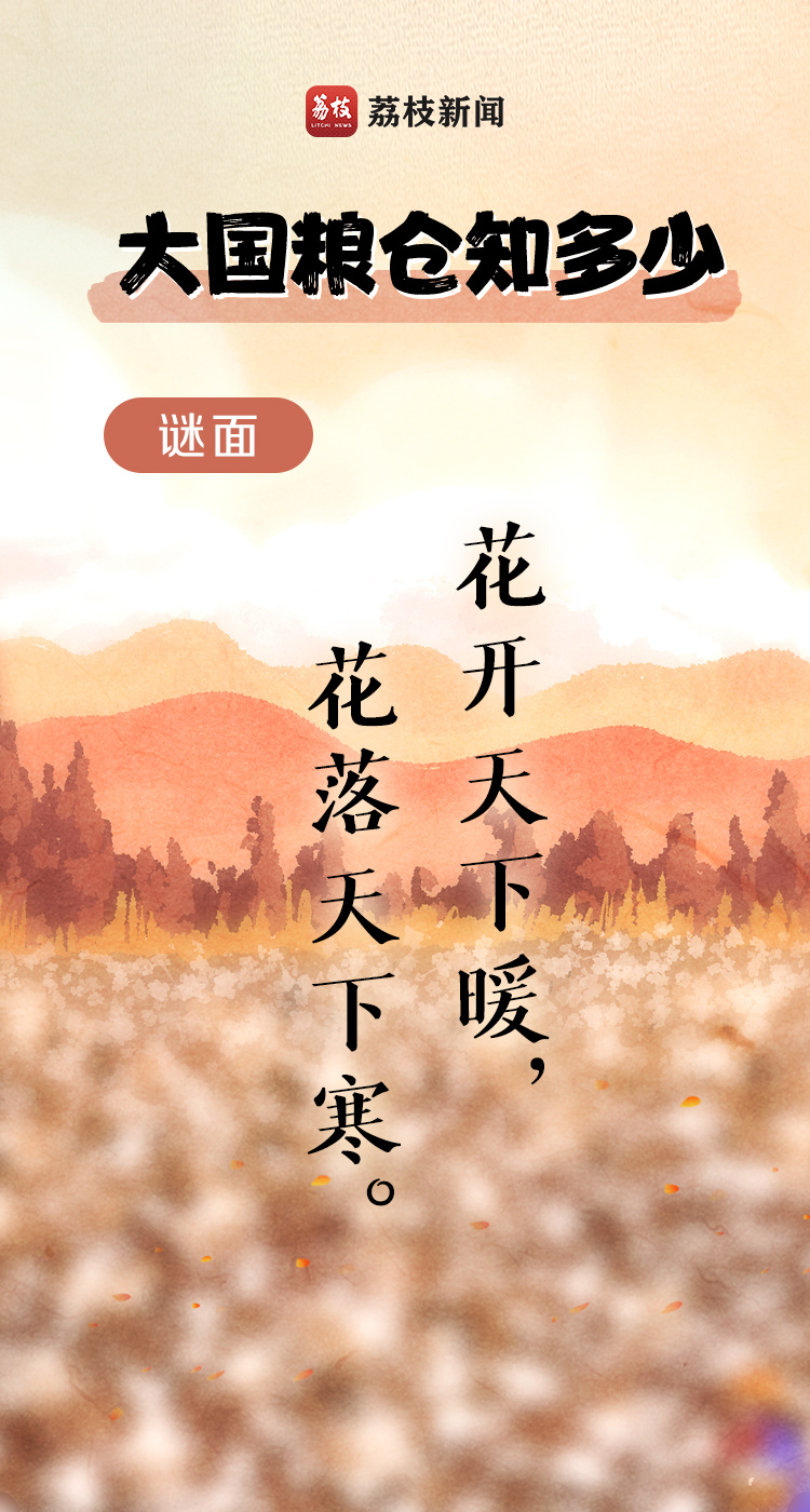 中国农民丰收节 | 庆丰收，猜作物，回望大国粮仓来时路