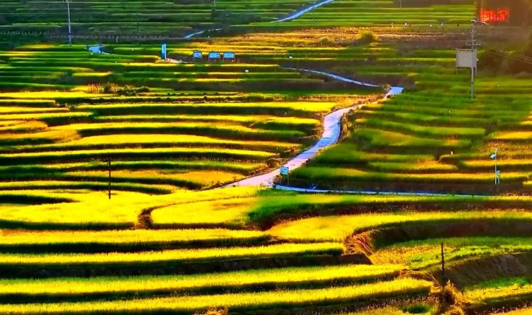 秋分至 丰收时 | @所有人，中国农民丰收节来了！