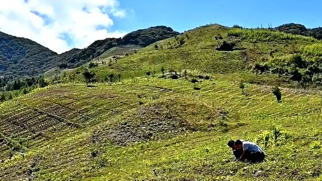 秋分至 丰收时 | @所有人，中国农民丰收节来了！