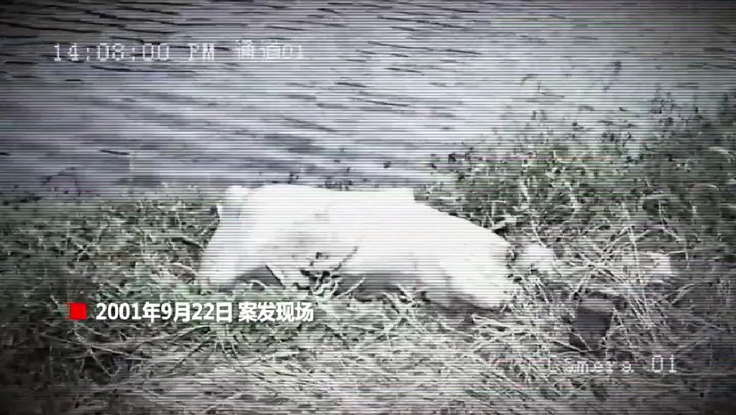 南京中山陵景区湖底沉尸案，22年后告破！警方披露详情