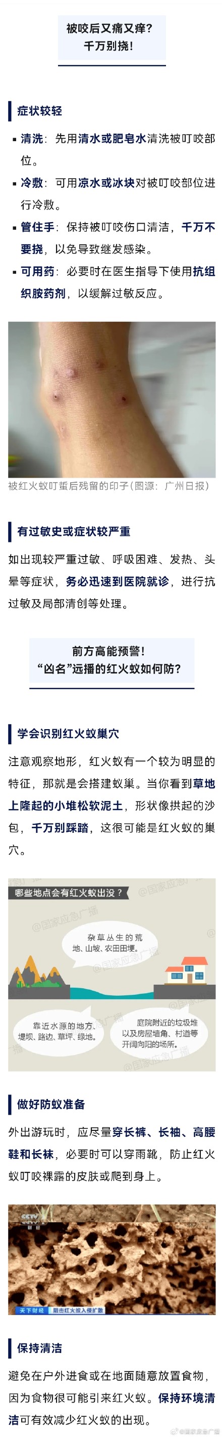 发现请立即远离️ 男子1年内7次被红火蚁咬伤 发现请立即远离️ 男子1年内7次被红火蚁咬伤