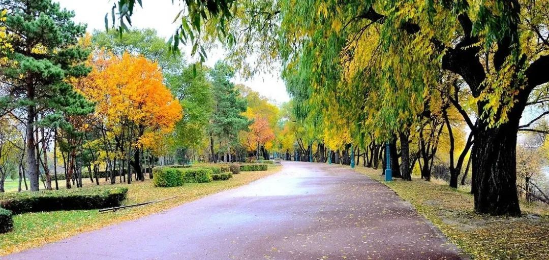 就在今晚!哈尔滨正式进入… 就在今晚!哈尔滨正式进入…