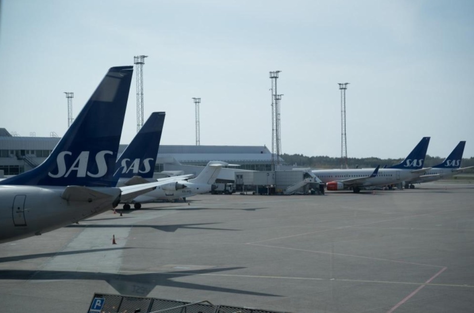 北欧航空飞机餐惊现活老鼠