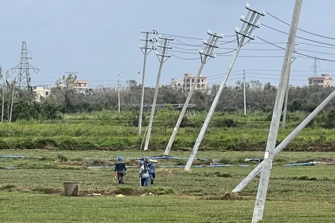 台风过后,这些涉电公共安全莫轻视 台风过后,这些涉电公共安全莫轻视