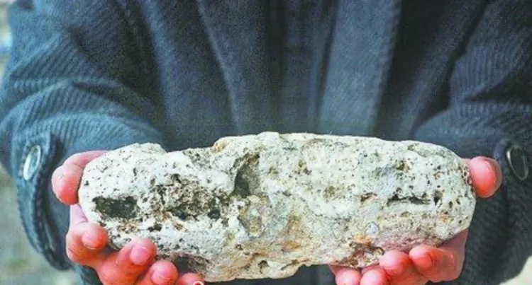 "无意中捡了套房"?游客海边捡到一块"石",价值800万? "无意中捡了套房"?游客海边捡到一块"石",价值800万?