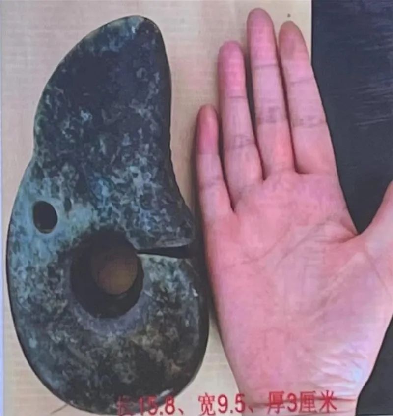最大玉龙出土！红山文化最新考古成果首次公布→
