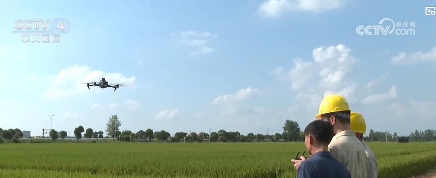 第七届中国农民丰收节:五谷丰登 瓜果飘香 全国各地共绘丰收好风光 第七届中国农民丰收节:五谷丰登 瓜果飘香 全国各地共绘丰收好风光