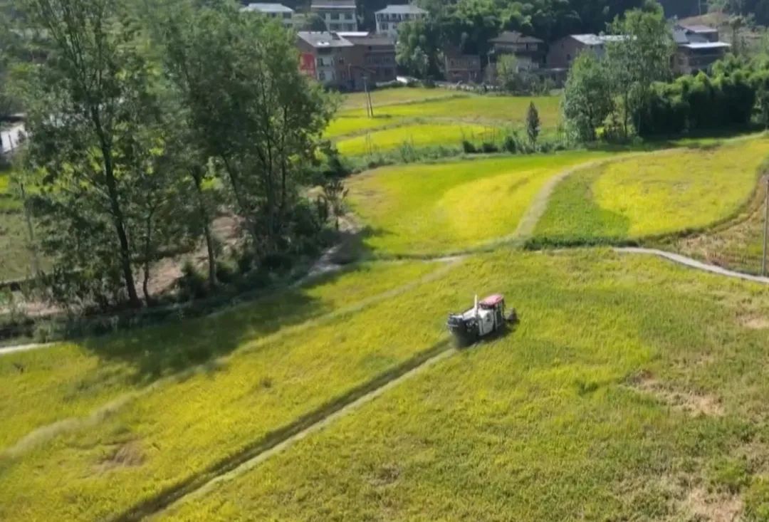 秋分至 丰收时 | @所有人，中国农民丰收节来了！