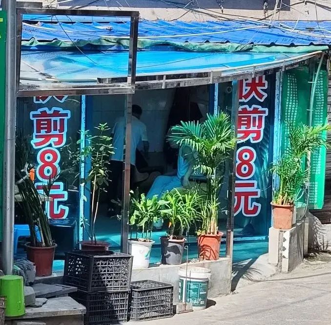 理发越来越贵？定价有无标准？天眼新闻记者独家采访→