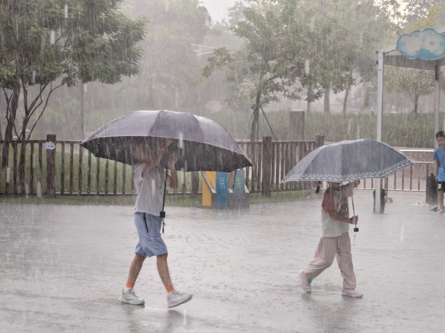 气温直降11.8℃，明起广东降温又降雨！广州街坊：空调可以歇歇了
