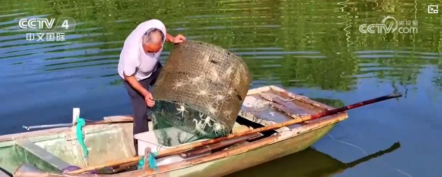 第七届中国农民丰收节:五谷丰登 瓜果飘香 全国各地共绘丰收好风光 第七届中国农民丰收节:五谷丰登 瓜果飘香 全国各地共绘丰收好风光