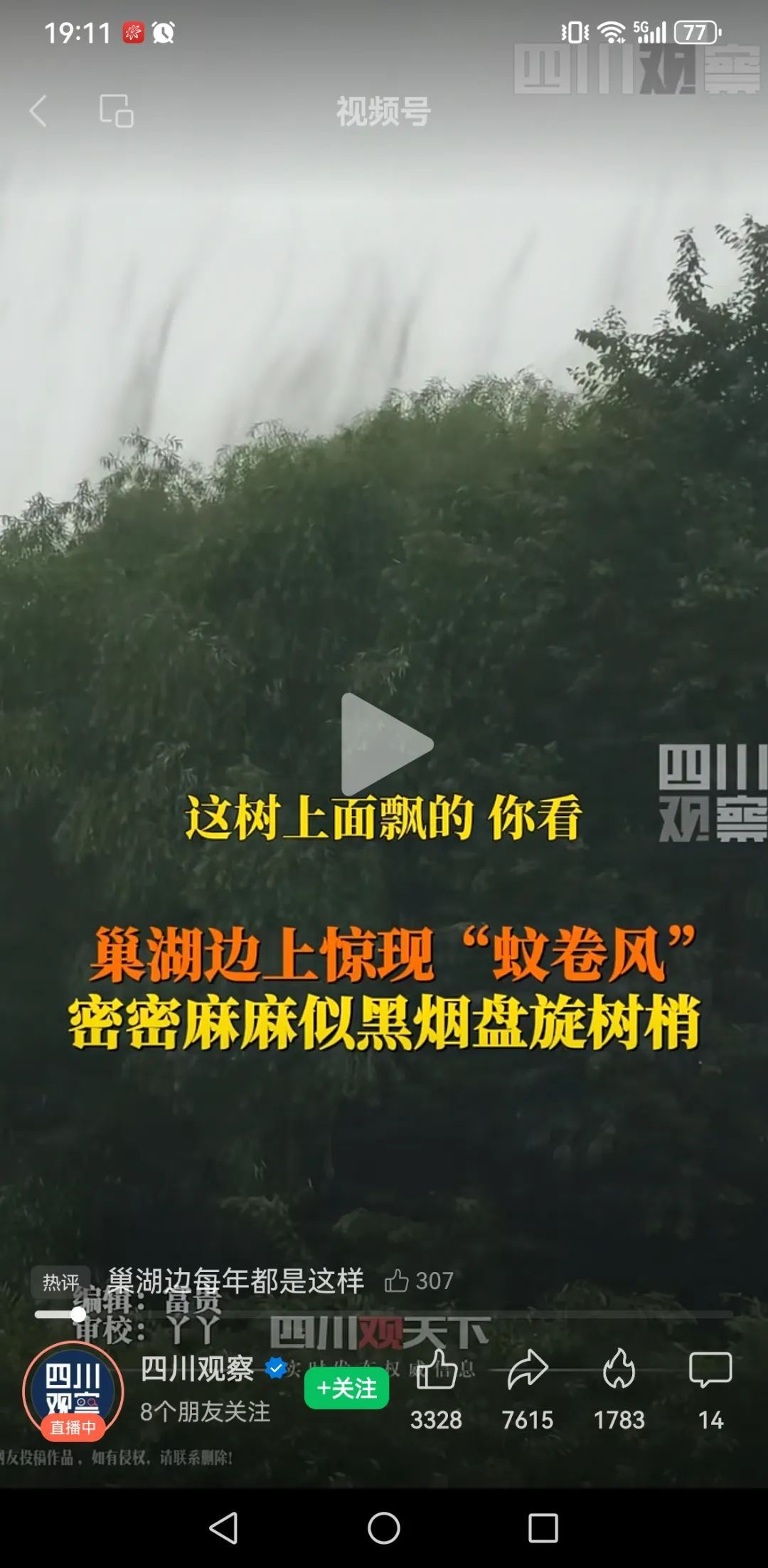 合肥上空大量飞鸟集群，正常吗？真相来了