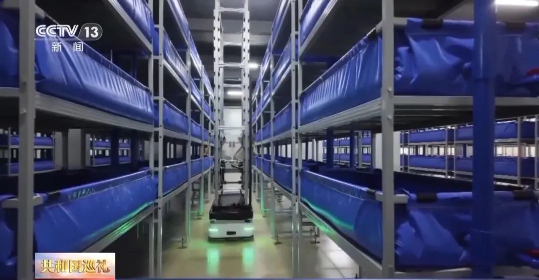 广东人追求的“鲜”,有了“科技味” 广东人追求的“鲜”,有了“科技味”