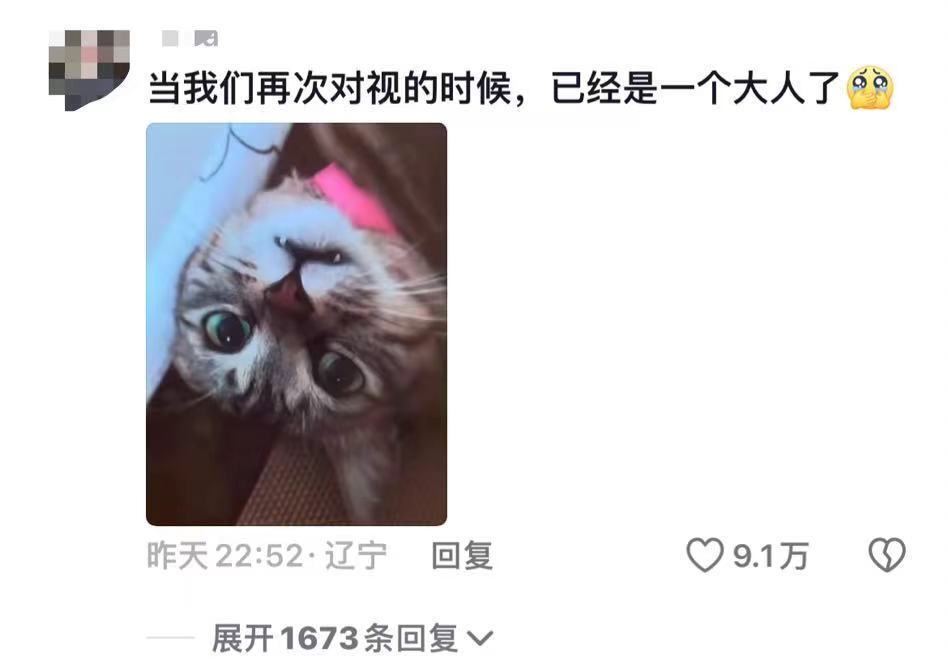解锁一部十年前的手机，里面有只等了你八万个小时的小猫