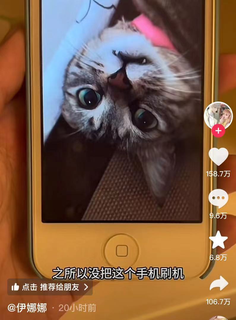 解锁一部十年前的手机，里面有只等了你八万个小时的小猫