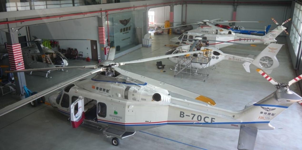 青春华章|“行走湾区 点赞中国”青年嘉宾采风团走进广东三个城市 青春华章|“行走湾区 点赞中国”青年嘉宾采风团走进广东三个城市