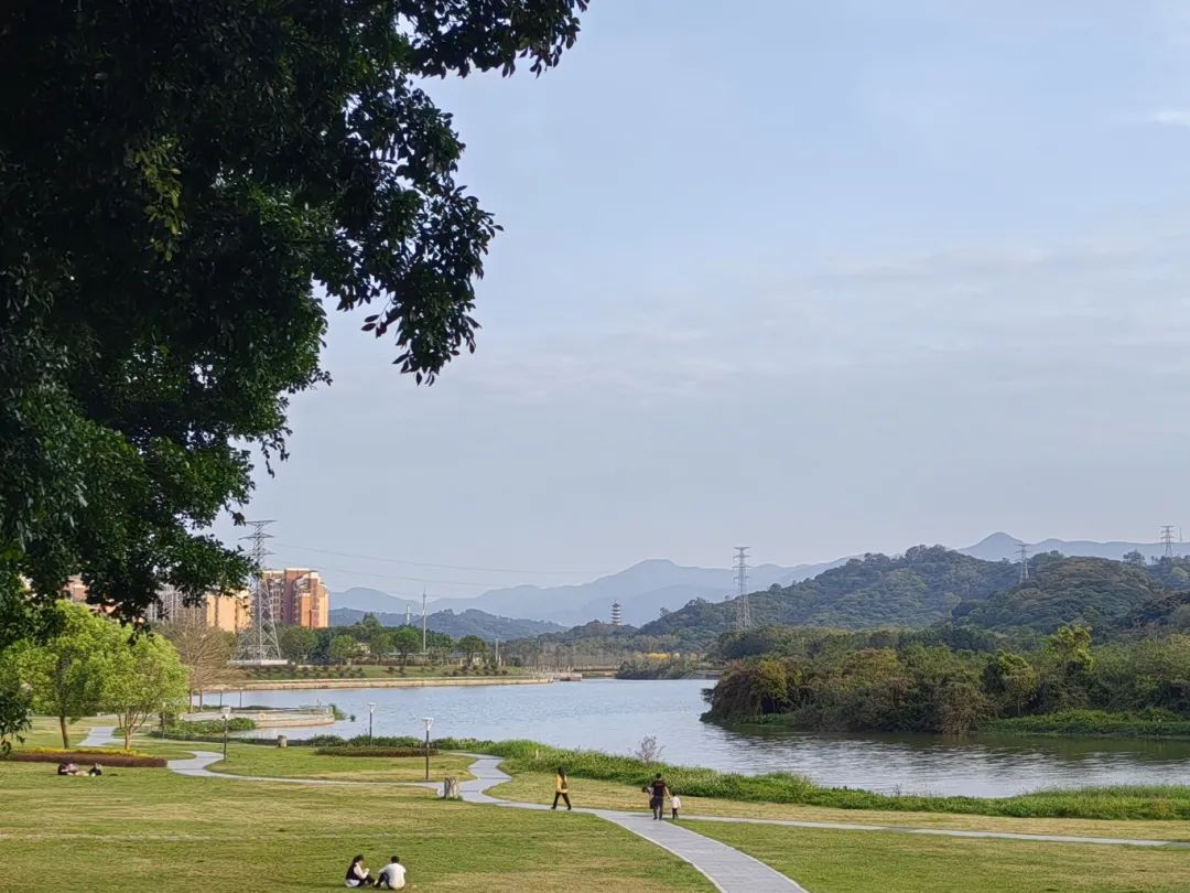 秋天体验卡即将下线！26日起广州气温回升→