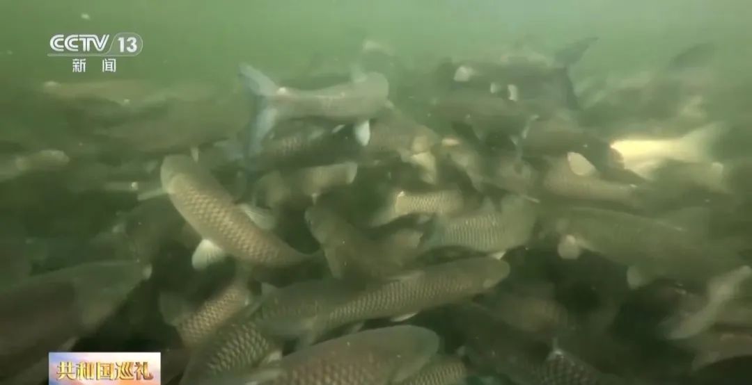 广东人追求的“鲜”,有了“科技味” 广东人追求的“鲜”,有了“科技味”