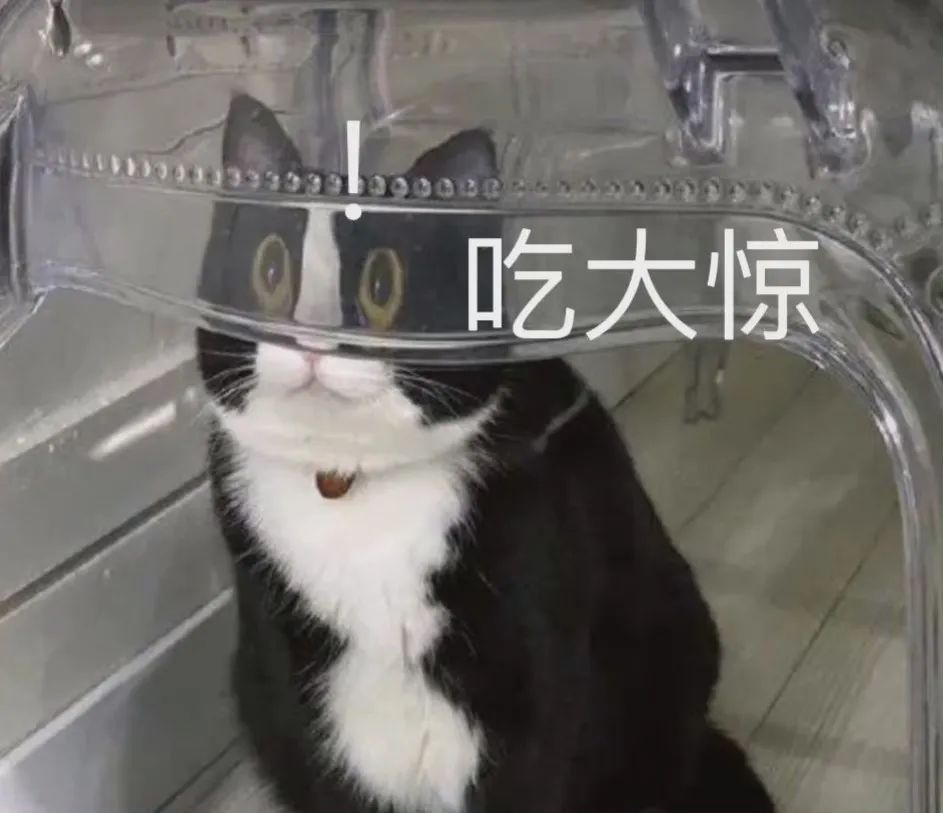 “黄牛”林某,被厦门警方抓获! “黄牛”林某,被厦门警方抓获!