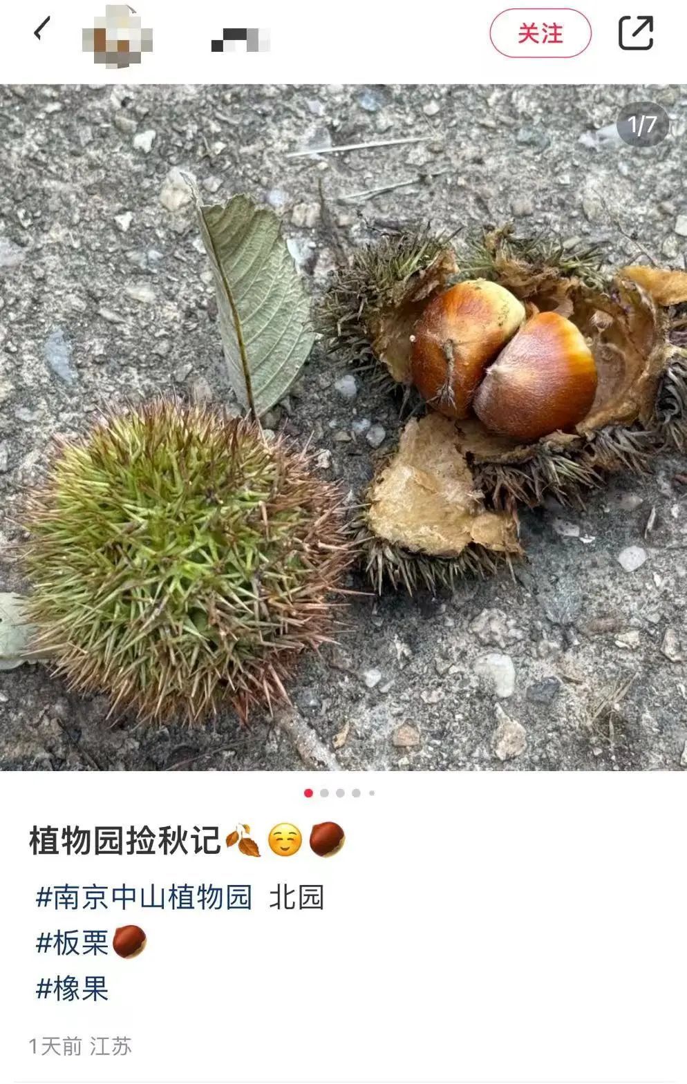 你去“捡秋”了吗？专属i人的精神疗愈法