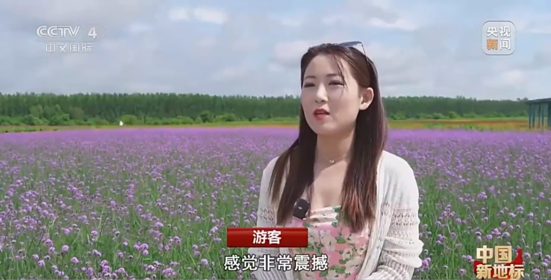 北大荒：发展现代农业 端牢中国饭碗