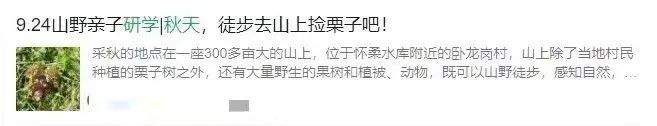 你去“捡秋”了吗？专属i人的精神疗愈法