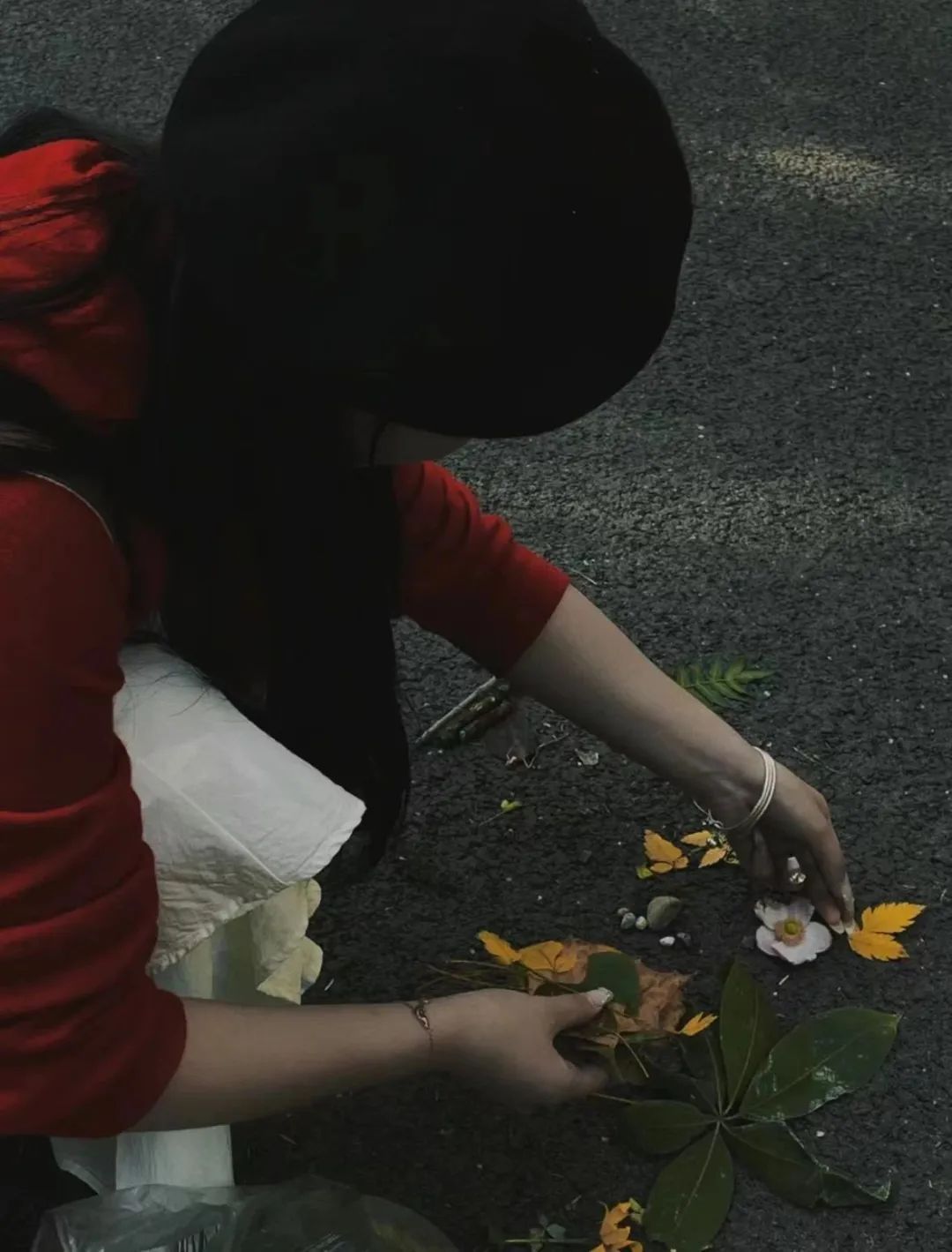 你去“捡秋”了吗？专属i人的精神疗愈法