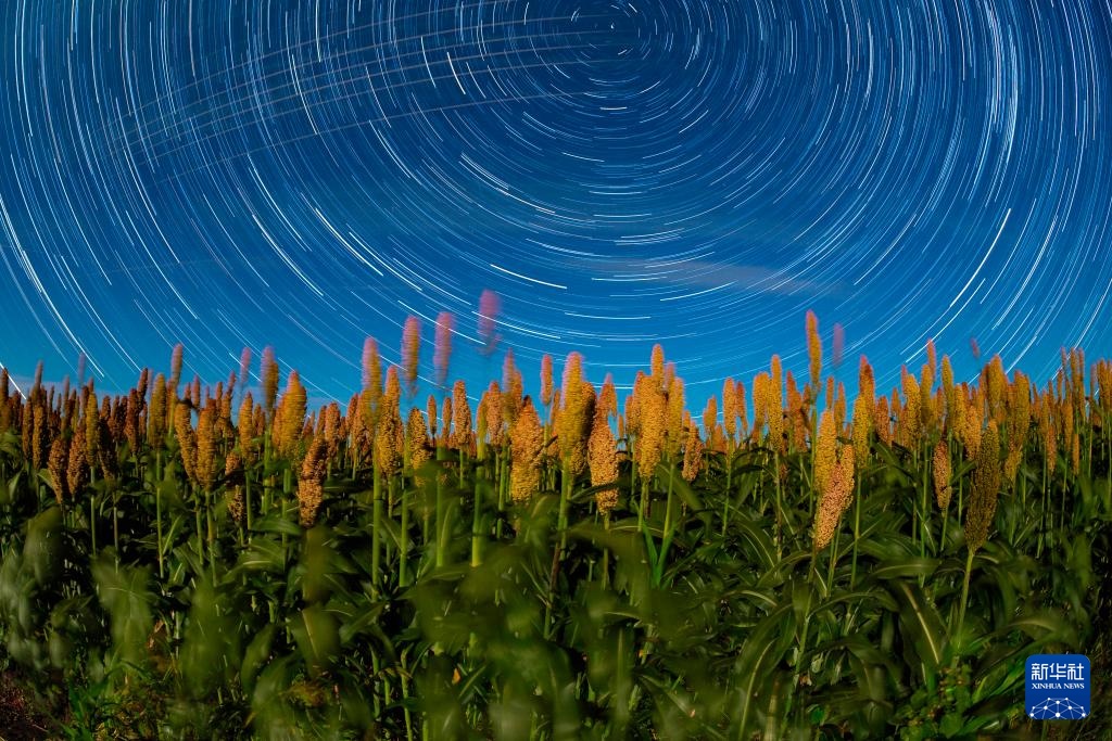 丰收田野“约会”浪漫星空