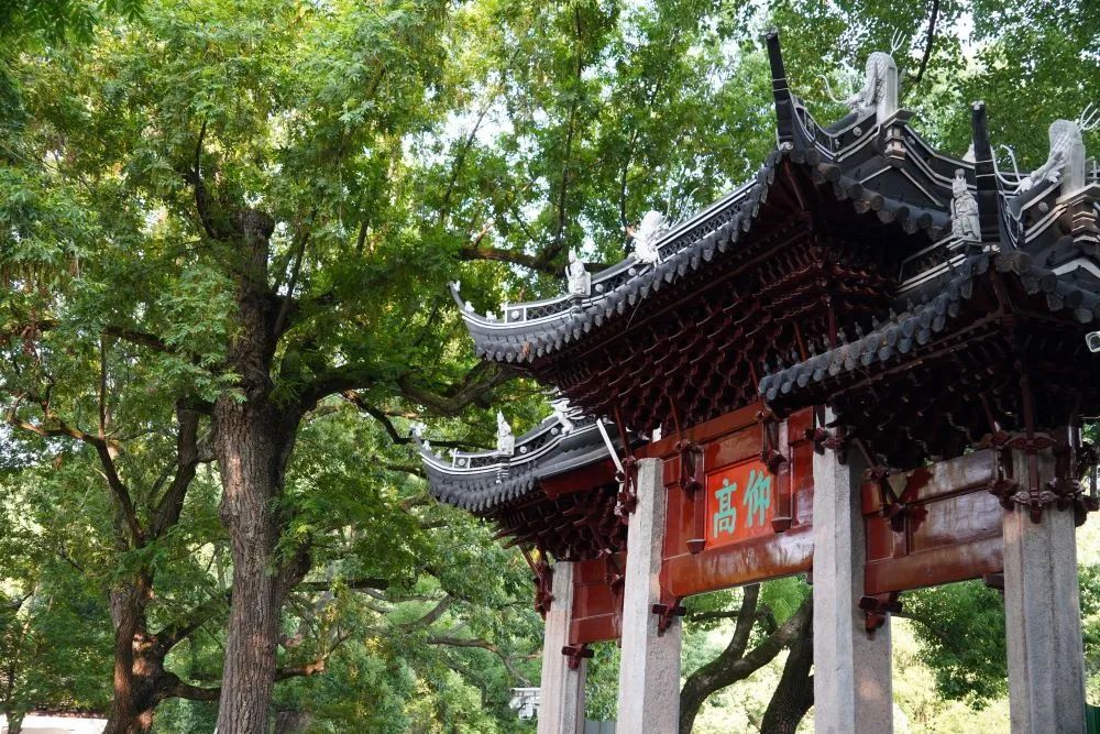 【探索】正式开放！上海地区现存规模最大的古建筑群修缮归来→