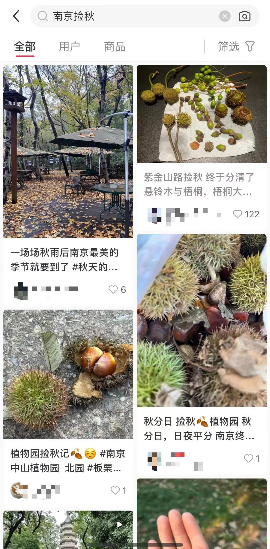你去“捡秋”了吗？专属i人的精神疗愈法