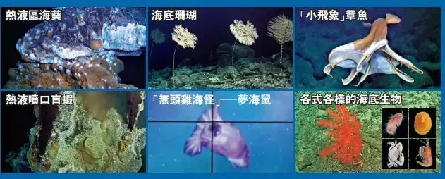 来啦！“蛟龙号”抵港