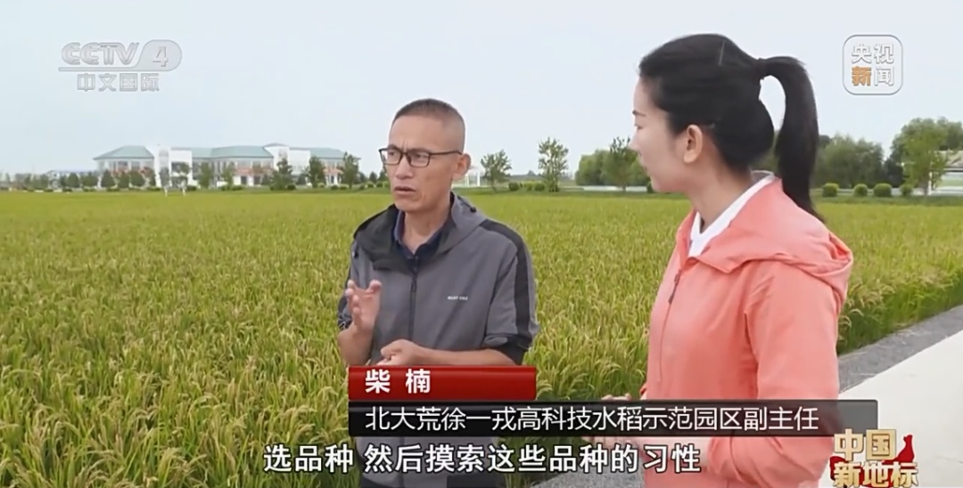 北大荒：发展现代农业 端牢中国饭碗
